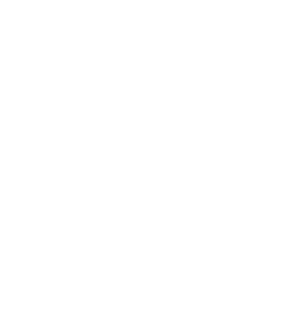 Student Achievement Awards logo. Two superimposed stars with the text SAAI