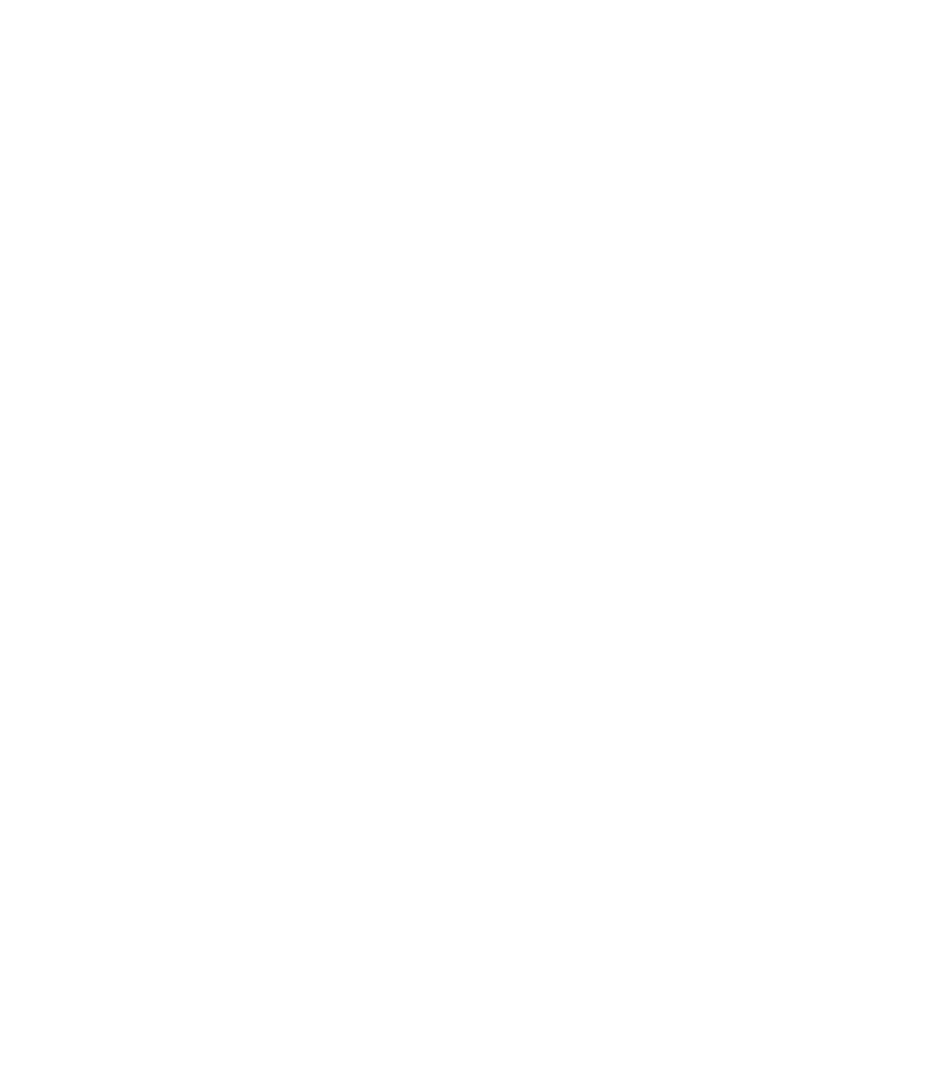 Student Achievement Awards logo. Two superimposed stars with the text SAAI